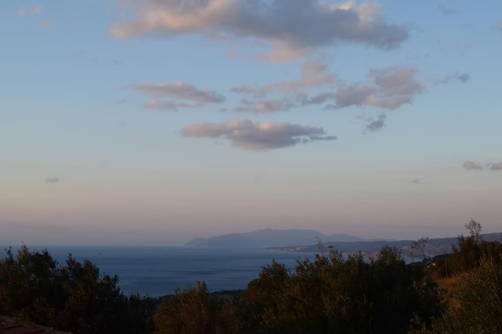O Palaios Fournos Tou Andrea Apartment Argostoli (Kefalonia)
